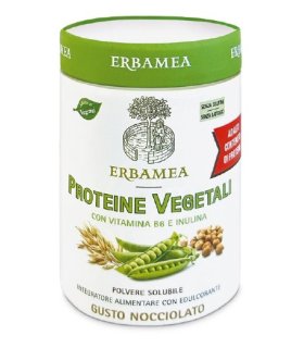 PROTEINE Veg.270g EBM