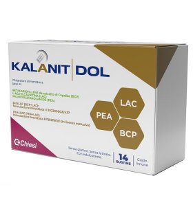 KALANIT DOL 14 Bust.