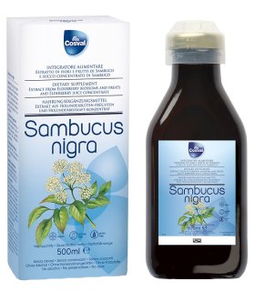 SAMBUCUS NIGRA 500ML COSVAL