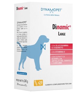 DINAMIC LARGE 20 Stick 12g