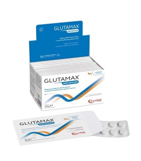 GLUTAMAX Advanced 120 Cpr