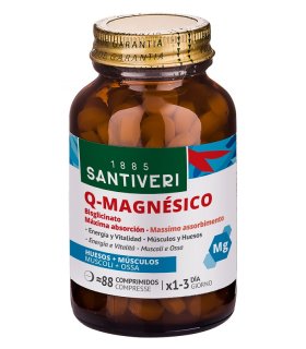 Q-MAGNESICO BISGL.88Cpr    STV