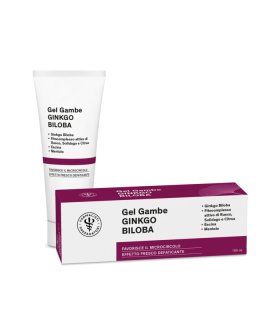 Lfp Gel Gambe Ginkgo 100ml
