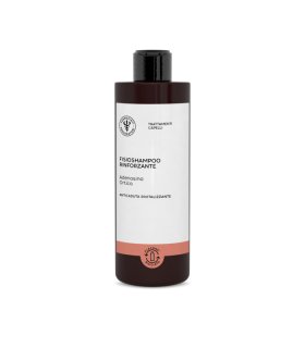 Lfp Pro Shampoo Rinforza 400ml