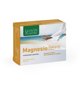 MAGNESIO B6 + K 60CPS