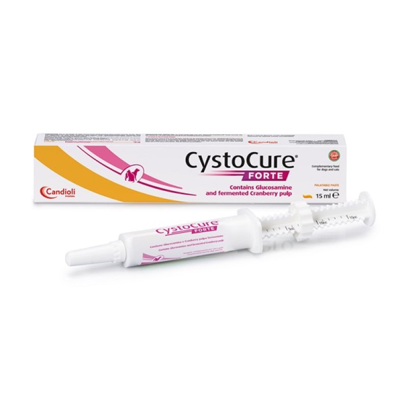 CYSTOCURE Forte Pasta 15ml CYSTOCURE Forte Pasta 15ml