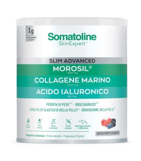 SOMAT Slim Advanced Polv.275g SOMAT Slim Advanced Polv.275g