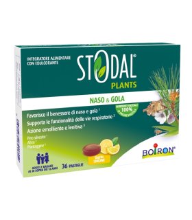 STODAL Plants 36 Past.Limone STODAL Plants 36 Past.Limone