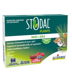 STODAL Plants 36 Past.Fr.Rossi STODAL Plants 36 Past.Fr.Rossi