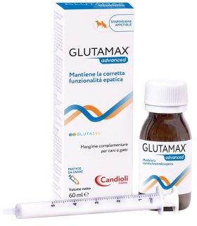 GLUTAMAX Advanced Sosp.60ml