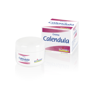 BO.CALENDULA Crema 20g