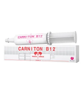 CARNITON B12 Pasta Sir.100g