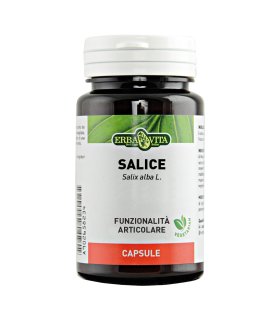 SALICE 60 Capsule 450mg        EBV