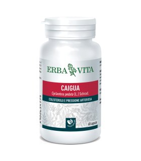 CAIGUA 60 Capsule 400 mg ErbaVita