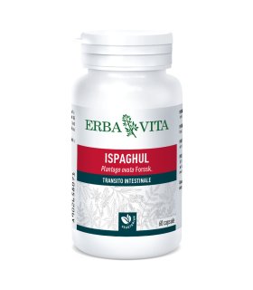 ISPAGUL 60 Capsule 400 mg ErbaVita