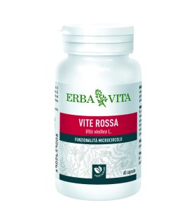 VITE ROSSA  60 Capsule 400 mg ErbaVita