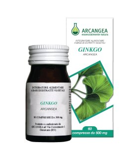 GINKGO BILOBA 60 Capsule ACN