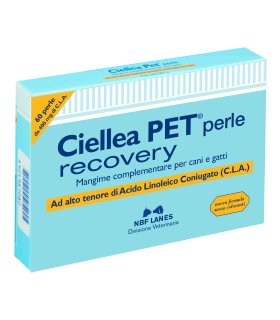 CIELLEA Pet 60 Perle