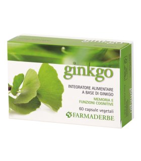 NUTRA Ginkgo Biloba 60 Capsule