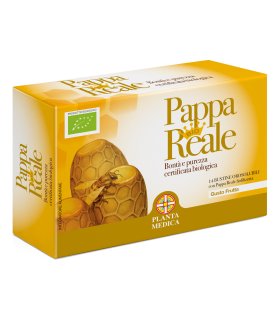 Pappa Reale Bio 14bust Os