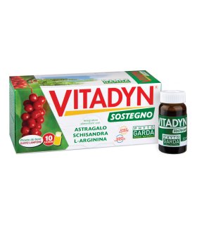 VITADYN Sostegno 10fl.10ml