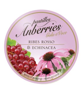 ANBERRIES Past.Ribes-Echinacea
