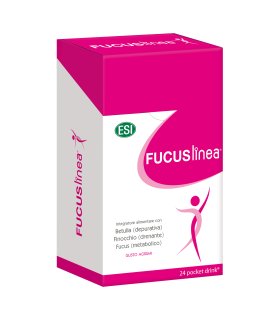 Fucuslinea 24 Pocket Drink 480