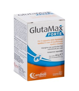 GLUTAMAX Forte 40 Compresse