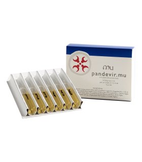 PANDEVIR MU 6f.12ml