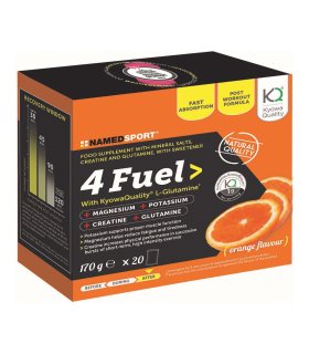 4FUEL 20 Bust.