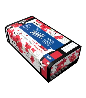 TEMPO Box 80 Fazzoletti