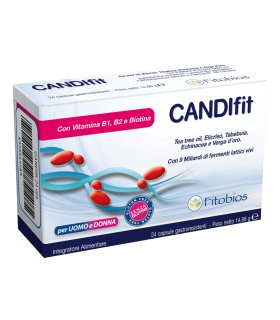 CANDIFIT 24 Capsule