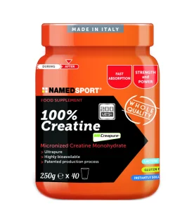 CREATINA 100% 250g NAMED