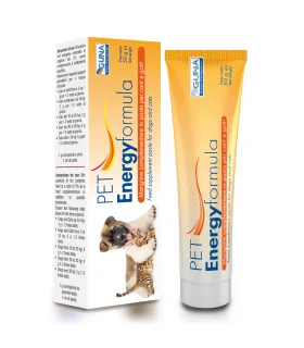 PET ENERGYFORMULA Pasta 50g