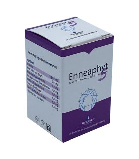 ENNEAPHYT*5 40 Compresse Oros.300mg