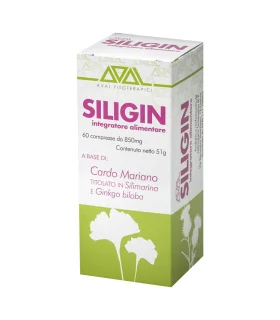SILIGIN 60 Compresse