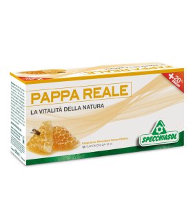 PAPPA REALE 12 Fl.10ml