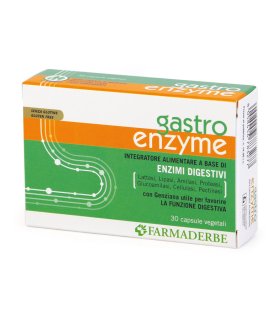 NUTRA Gastro Enzyme 30 Capsule