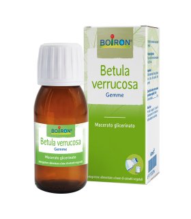 BO.BETULA VER.GEMME 1DH 60ml