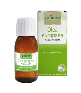 BO.OLEA EUROPEA MG 60ml