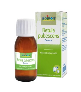 BO.BETULA PUB.MG I 60ml