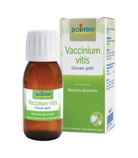 BO.VACCINIUM VITIS MG I 60ml