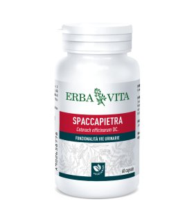 SPACCAPIETRA 60 Capsule 500mg  EBV