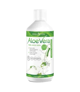 ALOE VERA Succo 100%1Lt    EBV