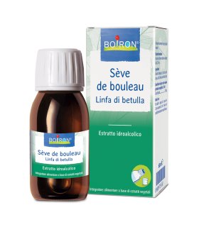 BO.SEVE BOULEAU ES I 60ml