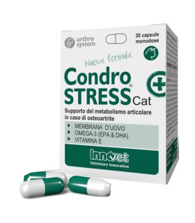 CONDROSTRESS+CAT 30 Capsule