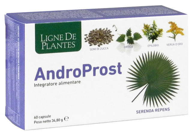 ANDROPROST 60 Capsule NSE