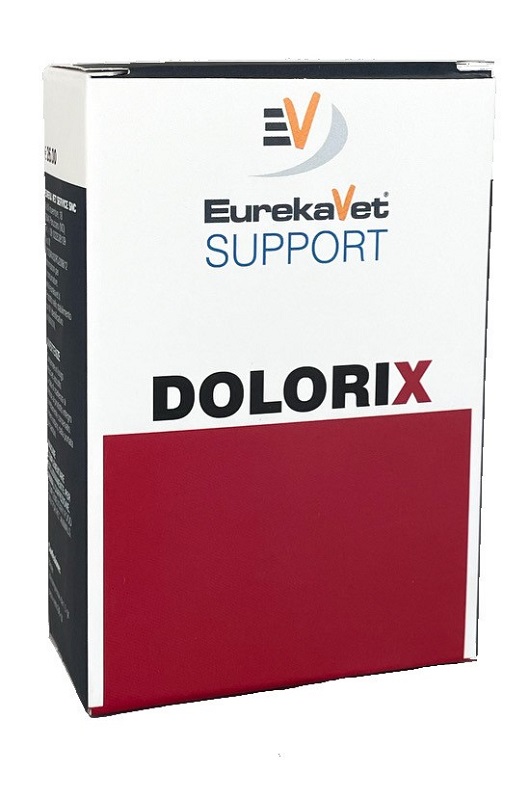 DOLORIX 24Cpr img