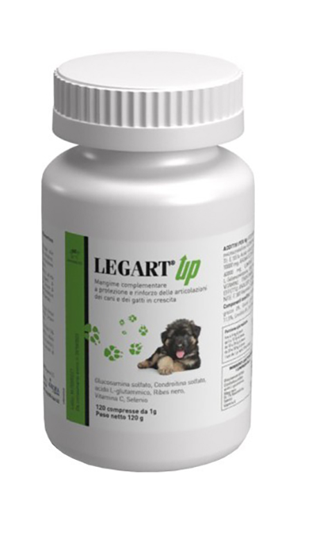 LEGART UP Vet.120 Cpr img