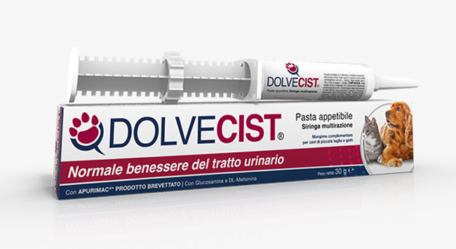 DOLVECIST Pasta 30g img